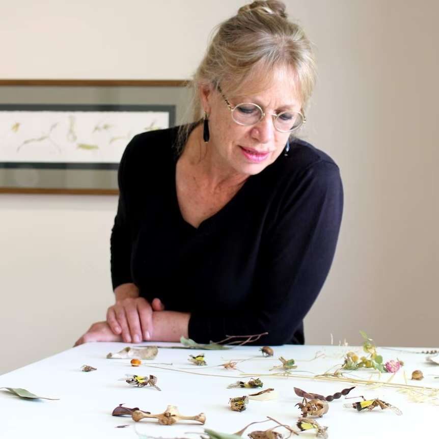 Sharon Field